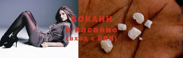 шишки Чекалин